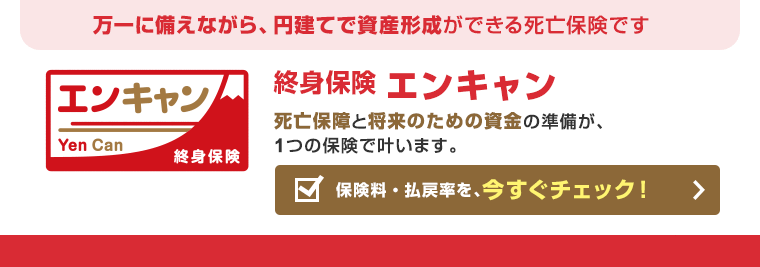 万一に備えながら、円建てで資産形成ができる死亡保険です「終身保険 エンキャン」死亡保障と将来のための資金の準備が、1つの保険で叶います。保険料・払戻率を、今すぐチェック!
